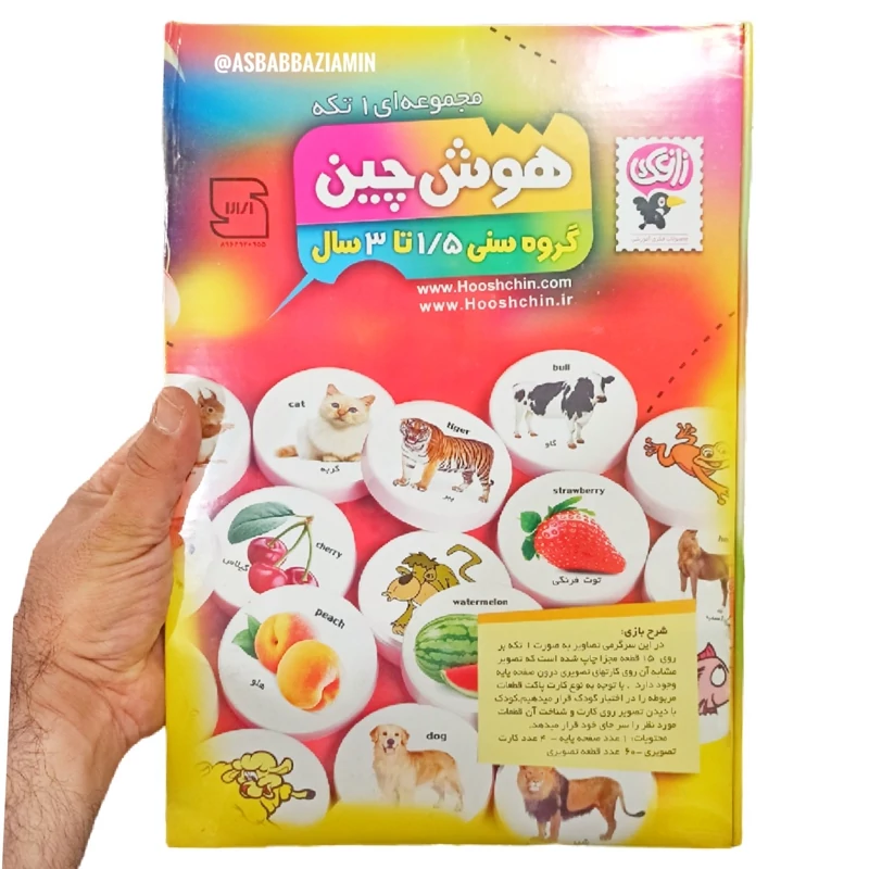 بازی فکری هوش چین 1 تیکه